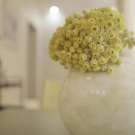 Class Alojamento de Acomodação e Pequeno-almoço